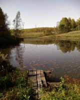 Осенью пруды в деревне Стаино особенно красивы