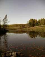 Вид среднего пруда в деревне Стаино в сентябре