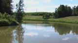 Маленький пруд в деревне Стаино Ферзиковского района Калужской области